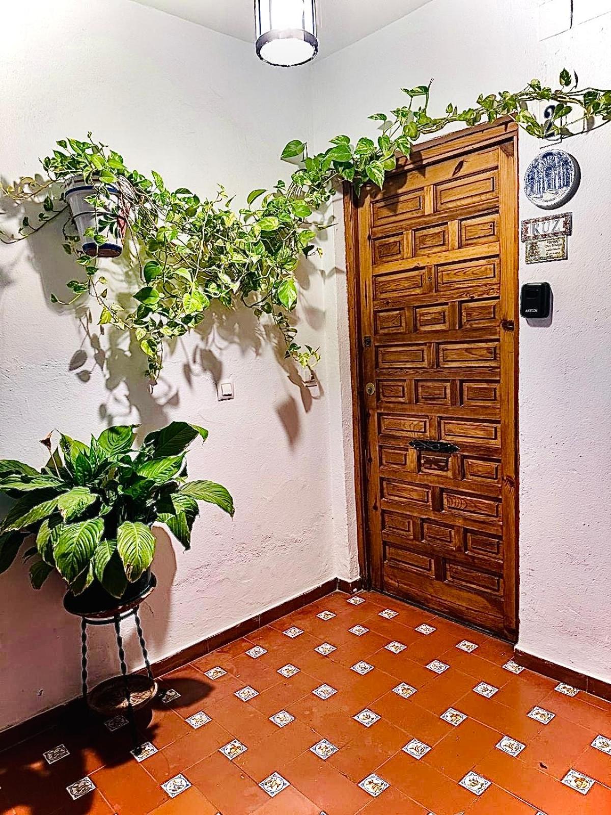 Apartamentos Ruz Córdoba Exteriör bild